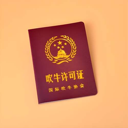 专业证件制作平台入门:从零开始掌握核心要点